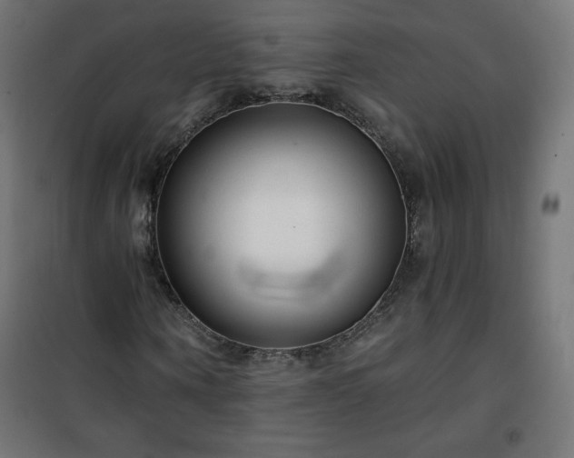 X0000101140866200807071124