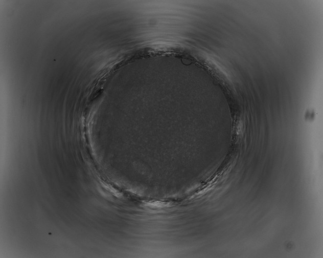 X0000101140868200807071124