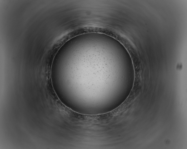 X0000101140870200807071124