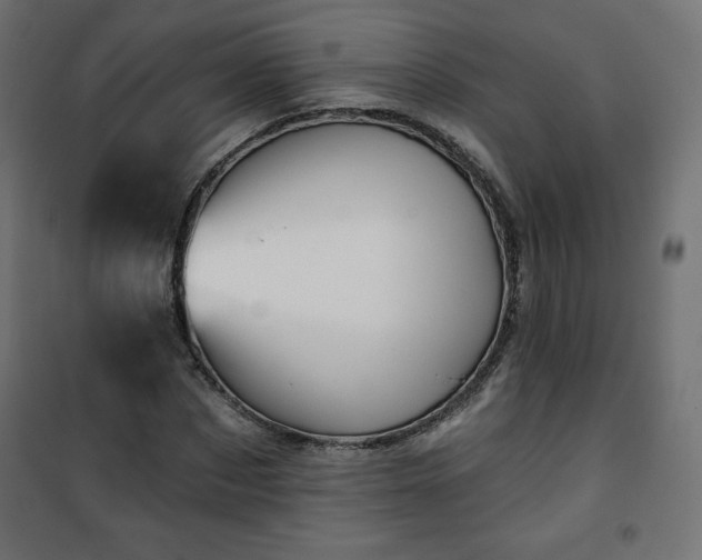 X0000101140873200807071123