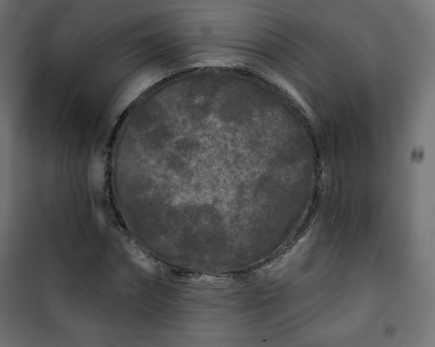 X0000101140874200807071123