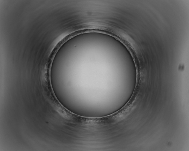 X0000101140875200807071123