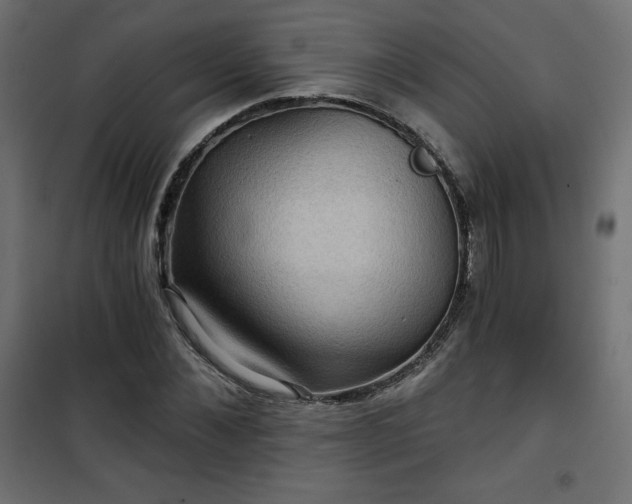 X0000101140876200807071123