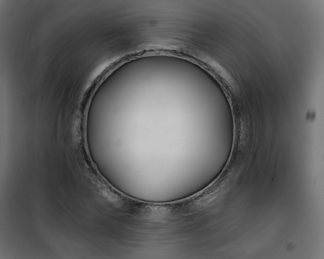 X0000101140878200807071123