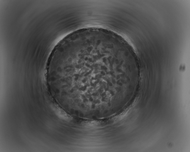 X0000101140879200807071123