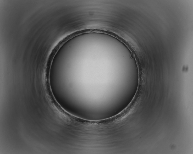 X0000101140880200807071123