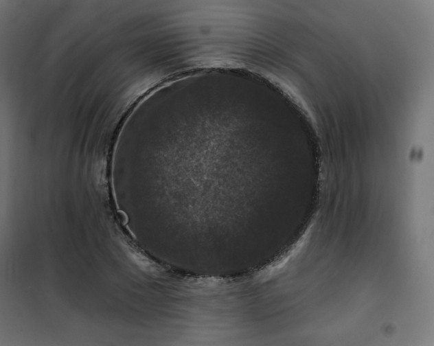 X0000101140881200807071123