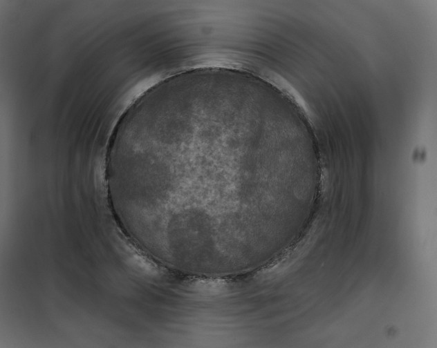 X0000101140882200807071123