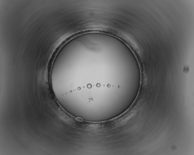 X0000101140883200807071123