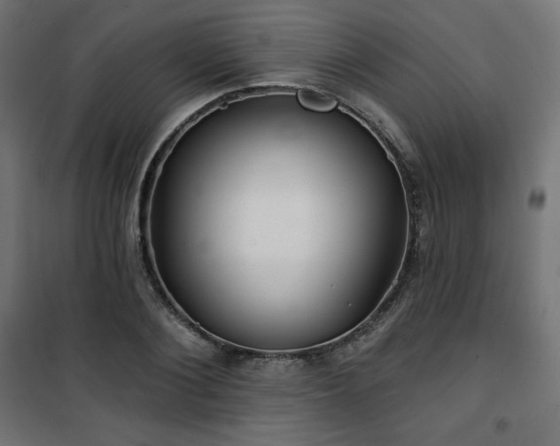 X0000101140884200807071123