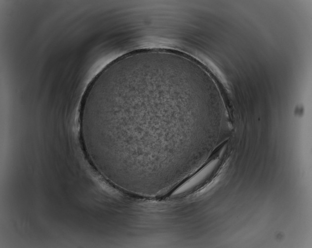 X0000101140885200807071123