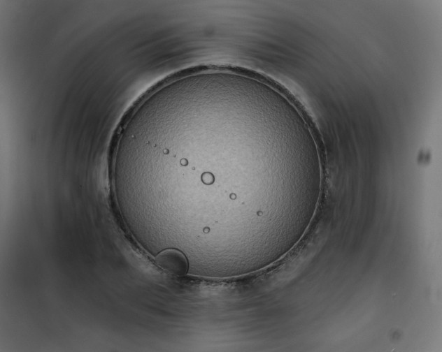 X0000101140887200807071123