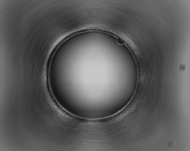 X0000101140888200807071123