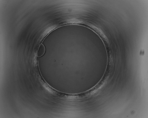 X0000101140889200807071123