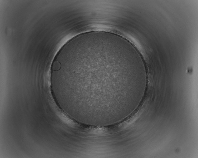 X0000101140891200807071123