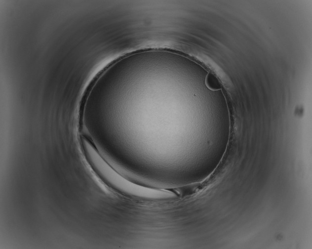 X0000101140894200807071123