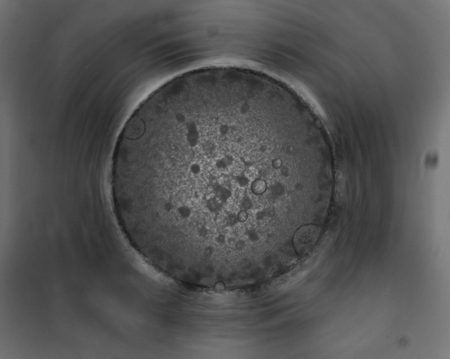 X0000101140895200807071123