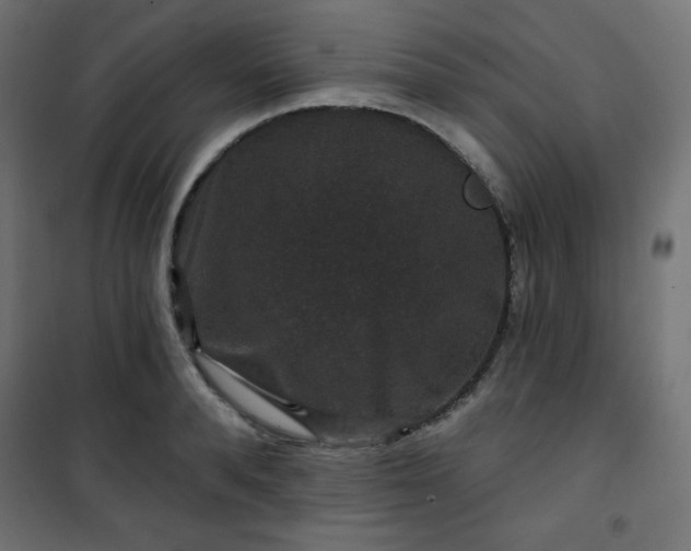 X0000101140896200807071123