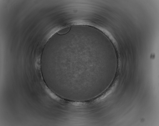 X0000101140897200807071123