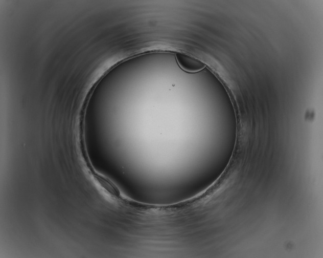 X0000101140898200807071123