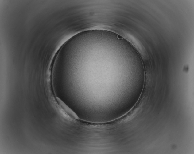 X0000101140900200807071123