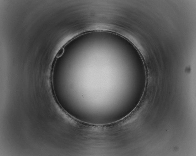 X0000101140901200807071123