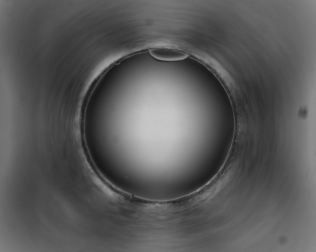 X0000101140902200807071123