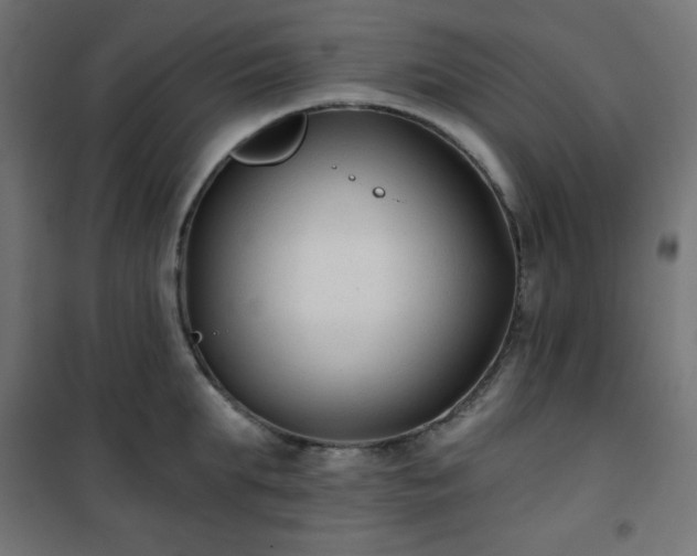 X0000101140903200807071123