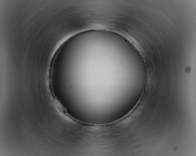 X0000101140904200807071123