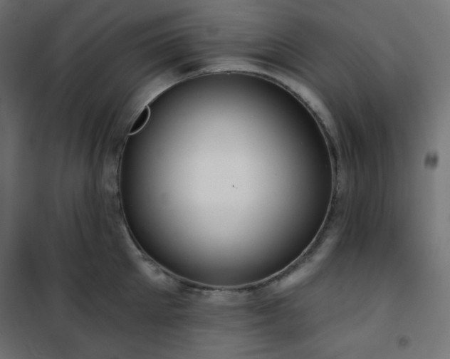 X0000101140905200807071123