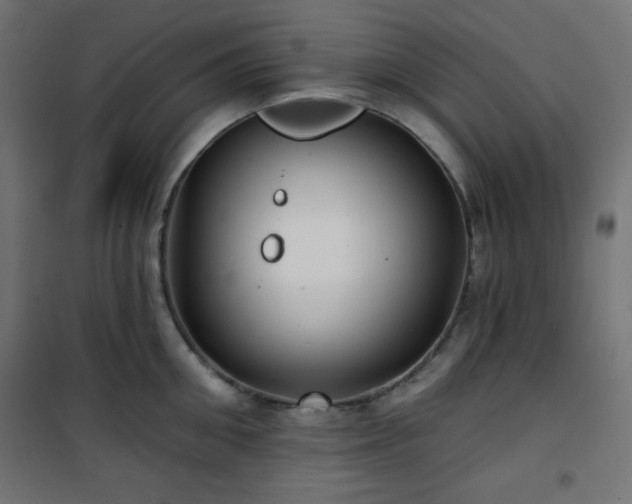 X0000101140906200807071123