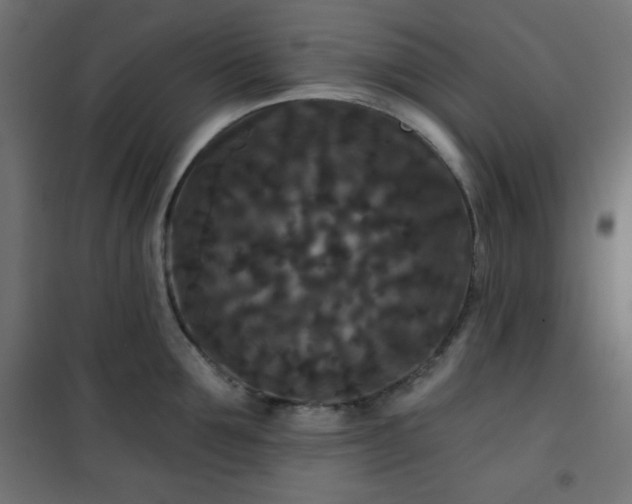 X0000101140907200807071123