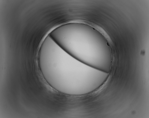 X0000101140908200807071123