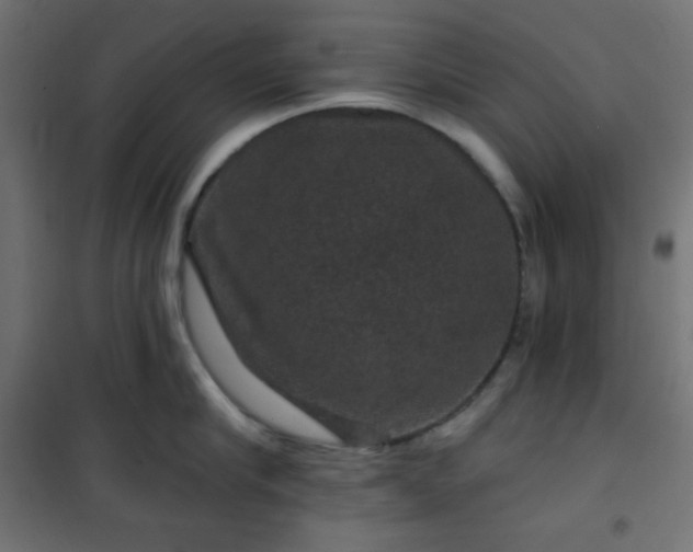 X0000101140910200807071123