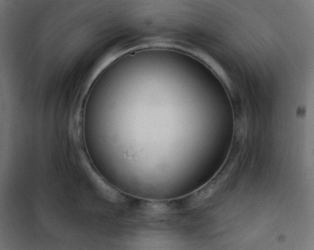 X0000101140911200807071123