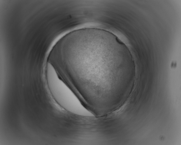 X0000101140912200807071123