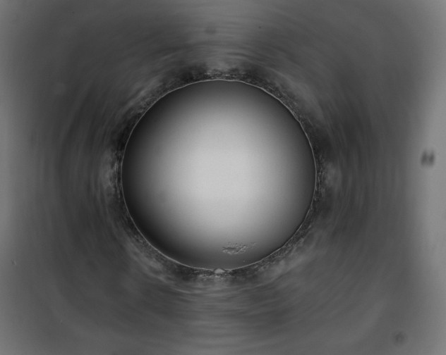 X0000101140914200807071122