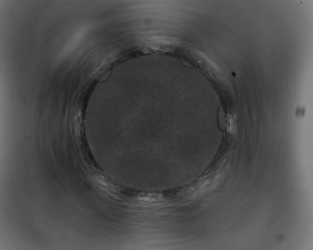 X0000101140915200807071122