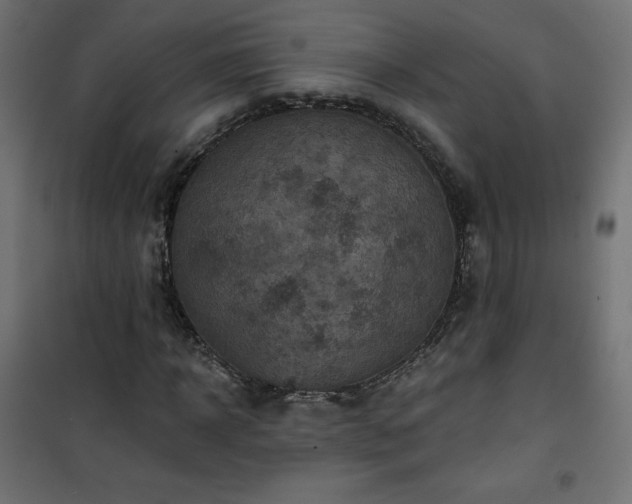 X0000101140918200807071122