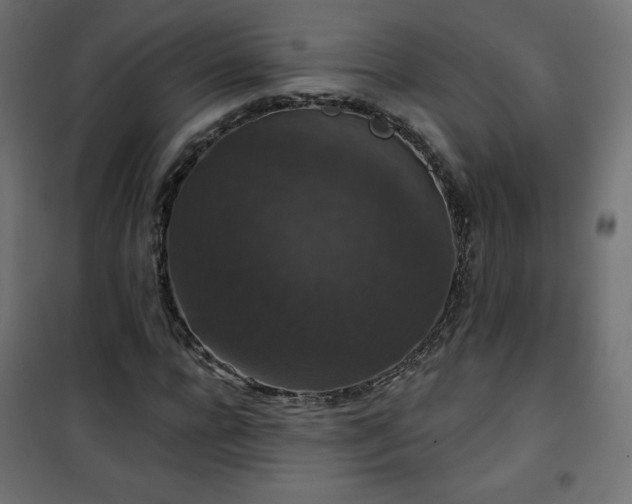 X0000101140920200807071122