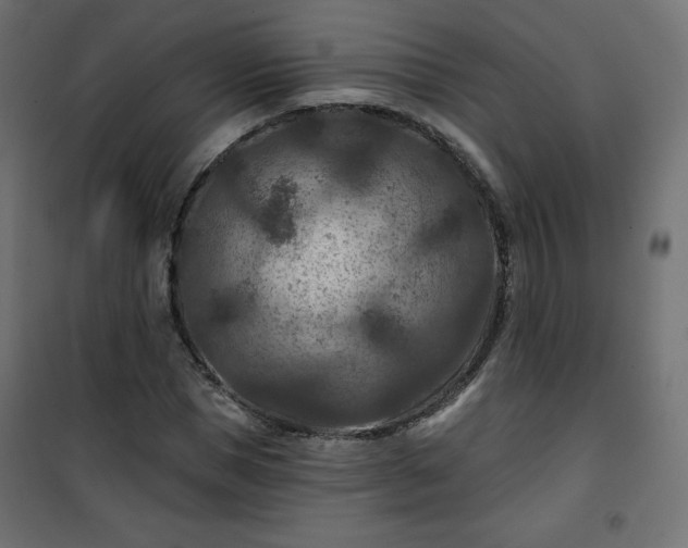 X0000101140921200807071122