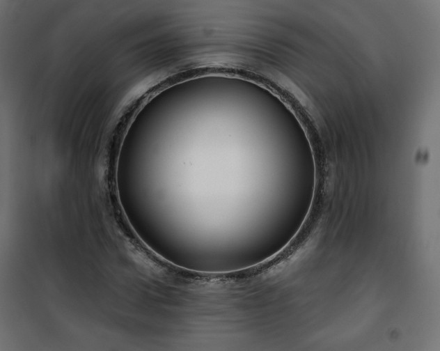 X0000101140922200807071122