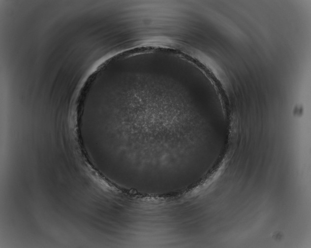 X0000101140923200807071122