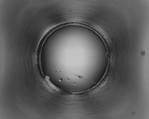 X0000101140924200807071122