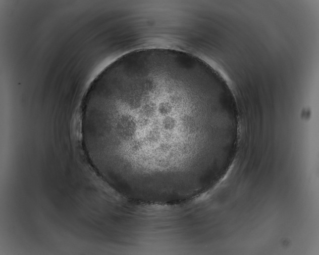 X0000101140925200807071122