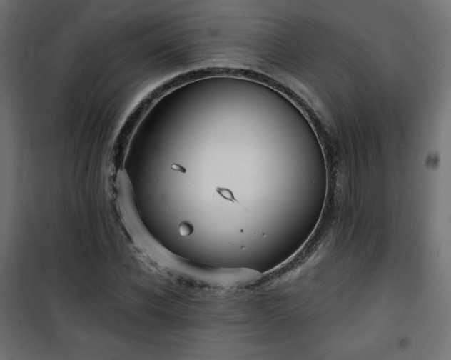 X0000101140926200807071122