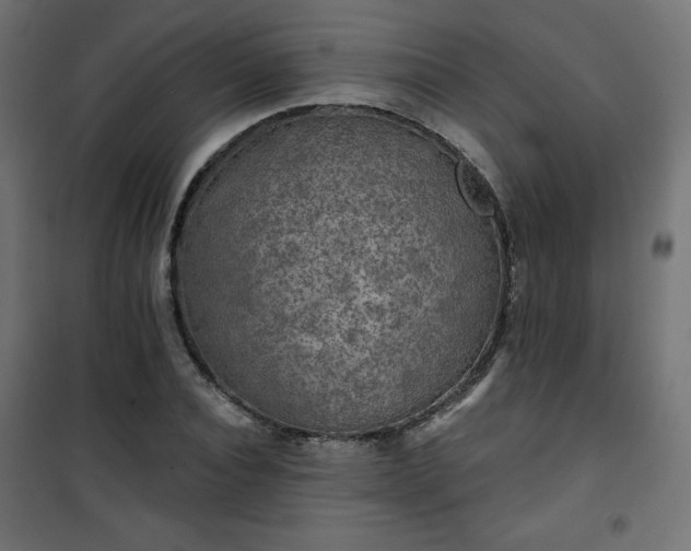 X0000101140928200807071122