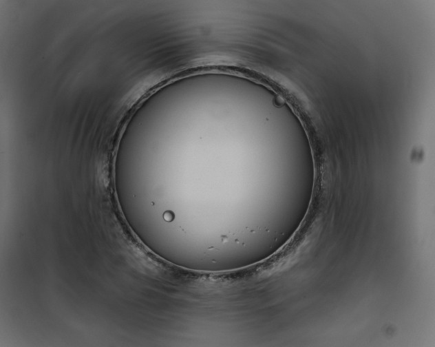 X0000101140929200807071122