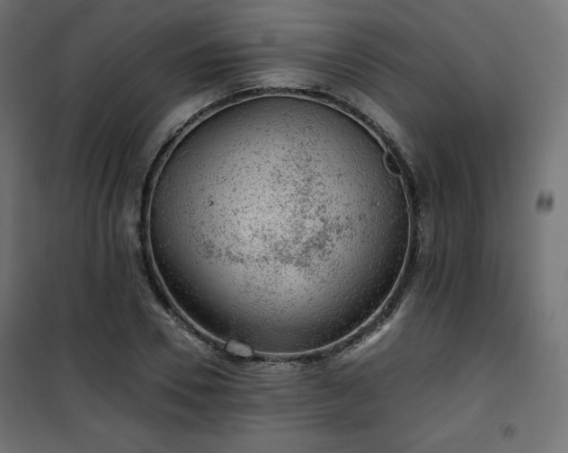 X0000101140930200807071122