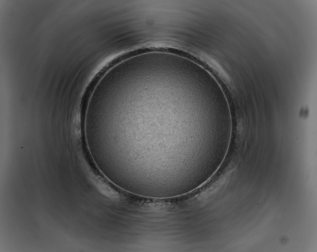 X0000101140934200807071122